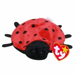 Ty Beanie Baby Lucky common - MWMT (LadyBug 1995) about 11 spots